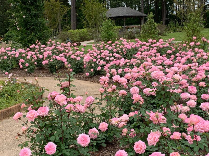 The Gardens of the American Rose Center, United States